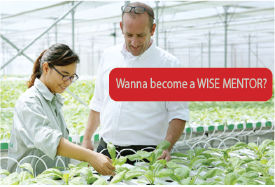 Do you want to become a WISE Mentor?